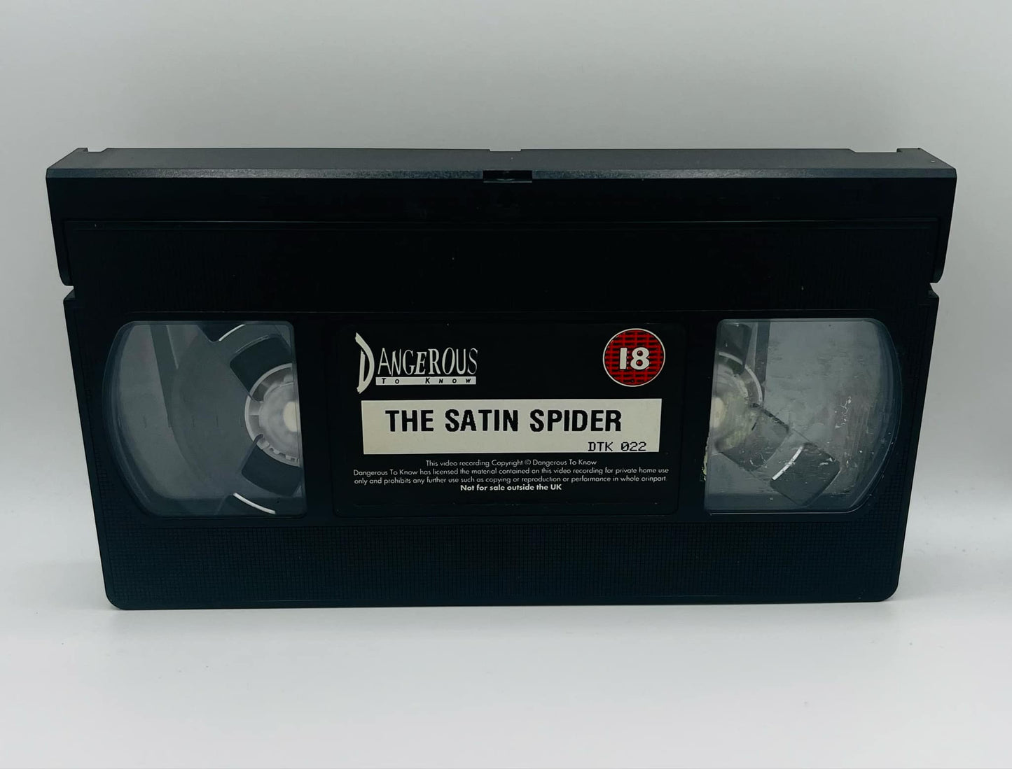 The Satin Spider (18)