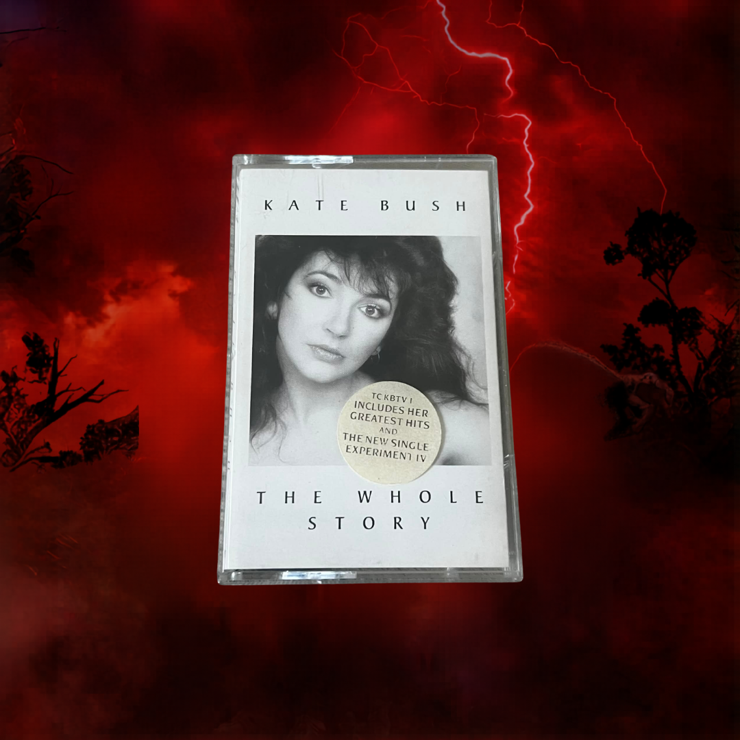 Running Up That Hill Framed Cassette Display | Kate Bush | Stranger Things