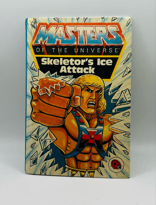 Masters Of The Universe (Skeletor's Ice Attack)