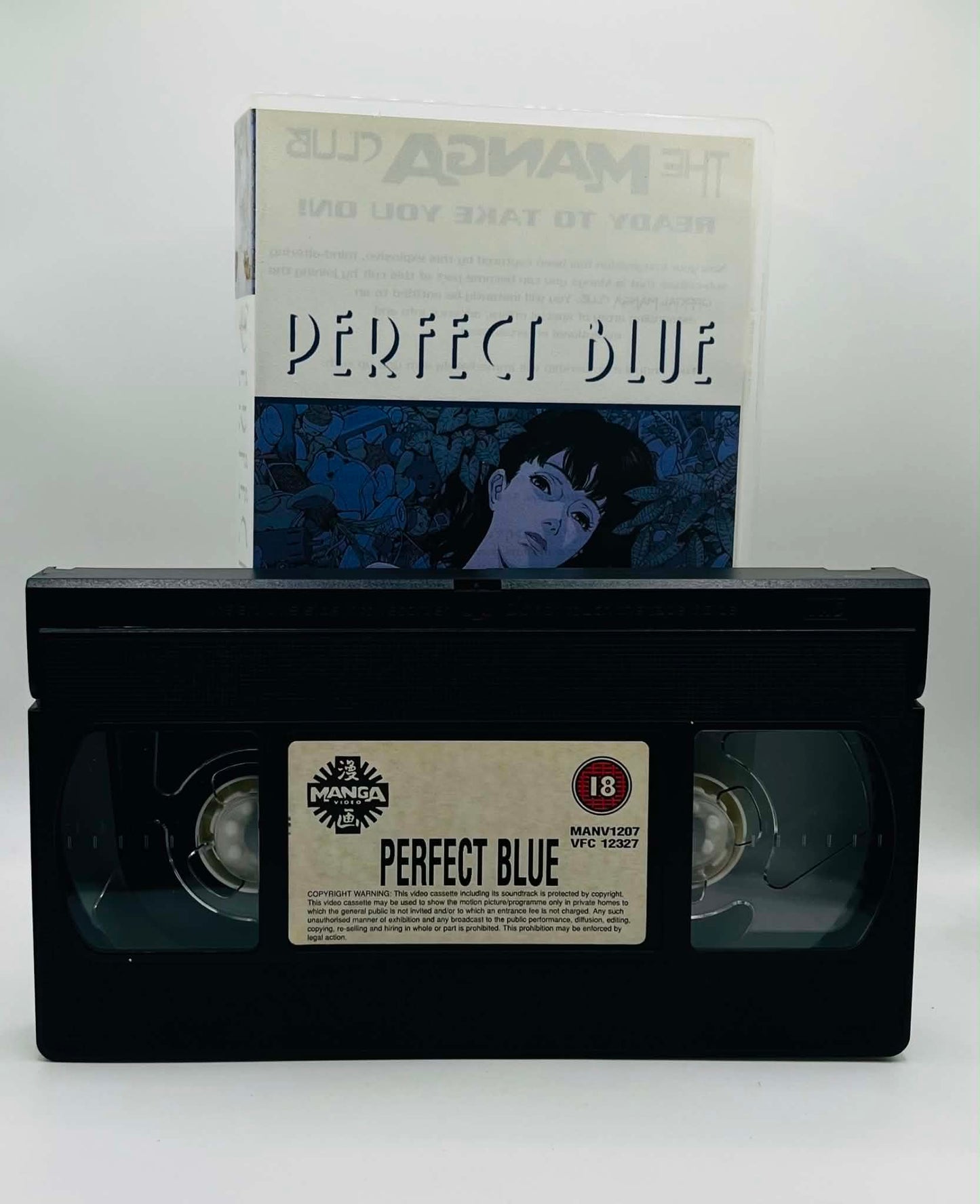 Perfect Blue (18)