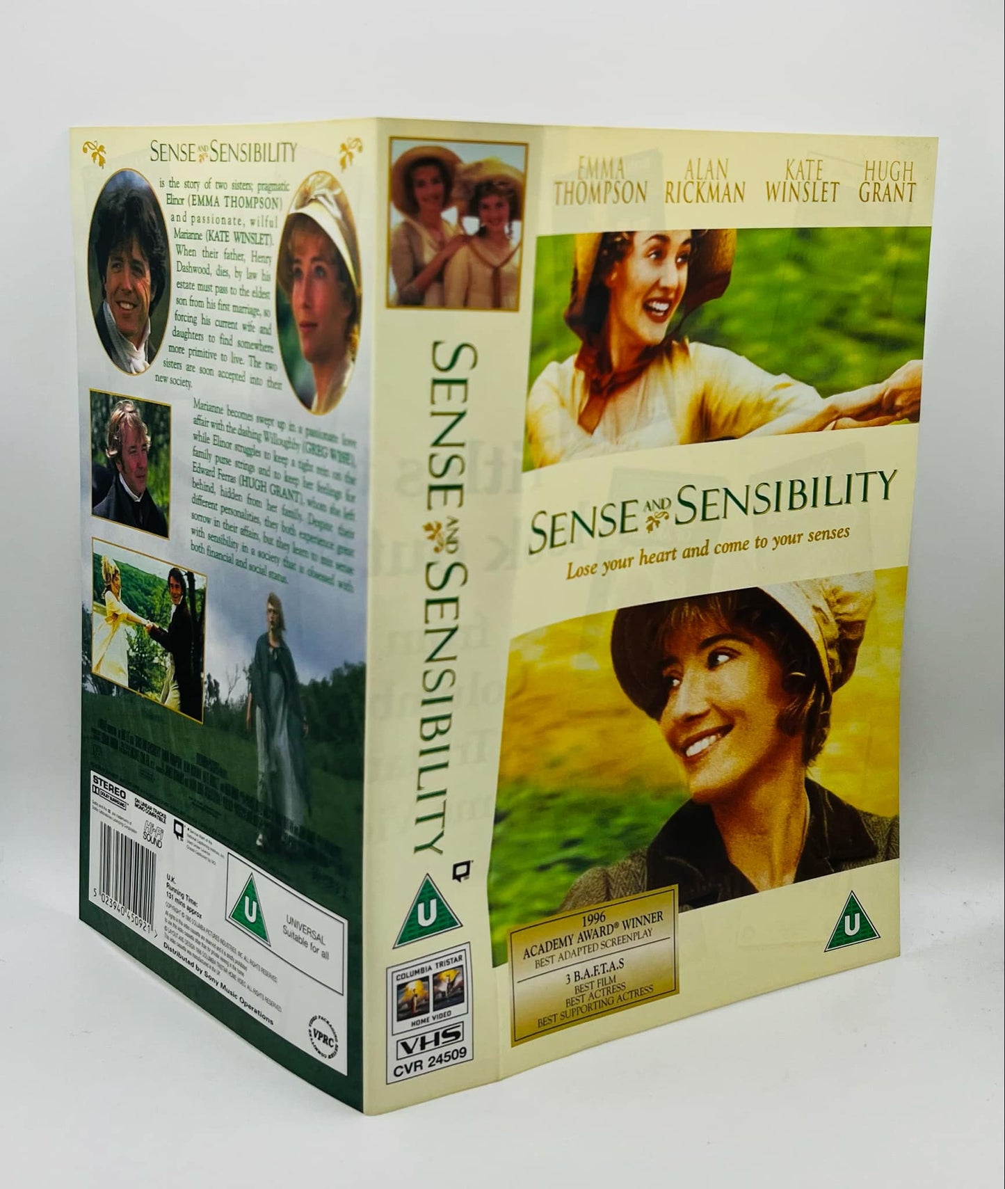 Sense And Sensibility Sleeve